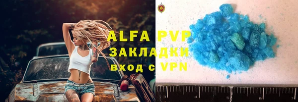 бошки Бородино
