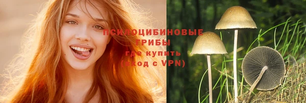 ГАЛЛЮЦИНОГЕННЫЕ ГРИБЫ Богородск