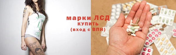 ГАЛЛЮЦИНОГЕННЫЕ ГРИБЫ Богданович