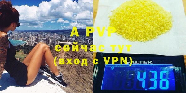 ГАЛЛЮЦИНОГЕННЫЕ ГРИБЫ Богданович