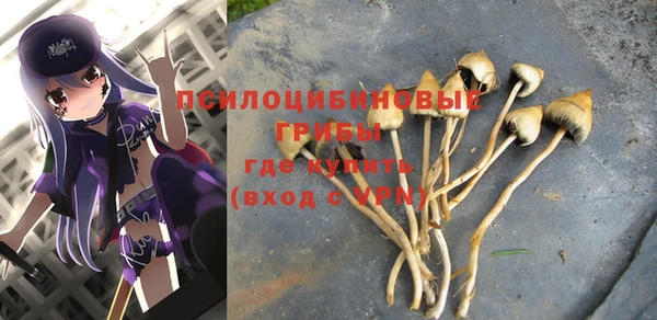 экстази Бронницы