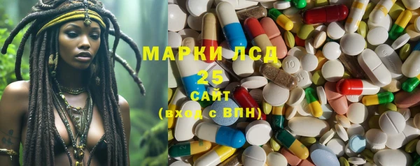 ГАЛЛЮЦИНОГЕННЫЕ ГРИБЫ Богданович