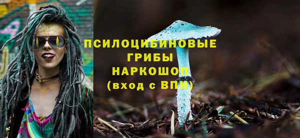 jwh Богородицк
